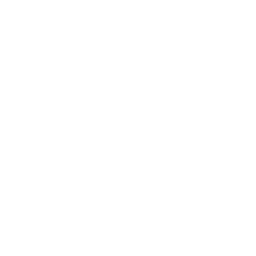 Van lift repair service