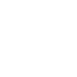 stretcher van conversion